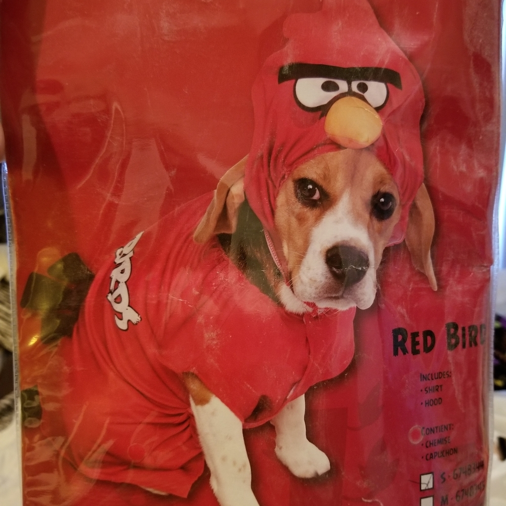 Pet costume